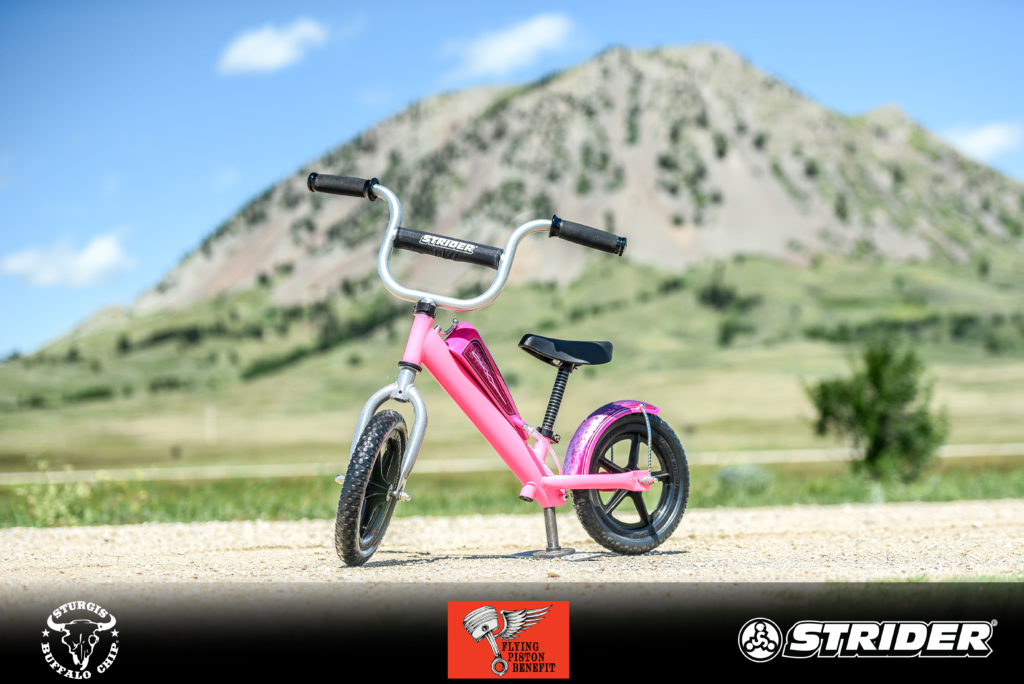 XAVIER MURIEL'S 2019 FLYING PISTON STRIDER CUSTOM - Iron Trader News